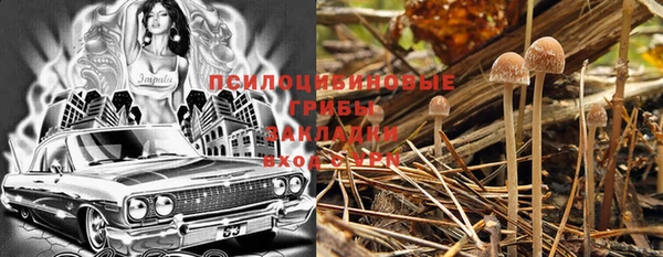 метадон Новодвинск