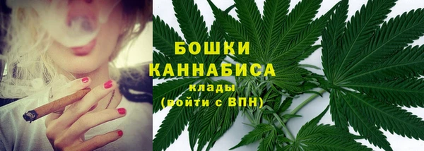 метадон Няндома