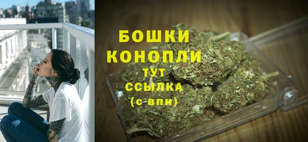 метадон Няндома