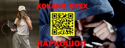 гидропоника Заволжье