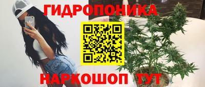 гидропоника Заволжье