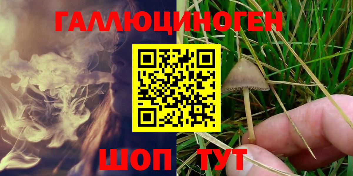 Псилоцибиновые грибы Magic Shrooms Партизанск