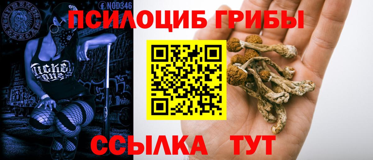 Галлюциногенные грибы Cubensis  Вход с VPN  Галлюциногенные грибы Cubensis  Партизанск 